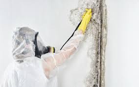 Best Dehumidification Services in Corning, CA